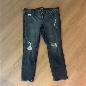 Torrid Premium Jeans